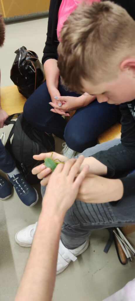 Ein blinder Schüler bekommt ein Insekt auf seine Hand gesetzt